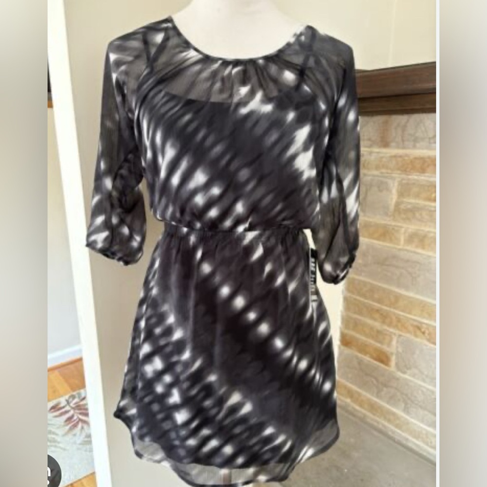 Express Dress - Picture 4 of 4